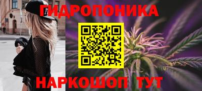 прущие грибы Малоярославец