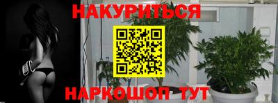 прущие грибы Малоярославец
