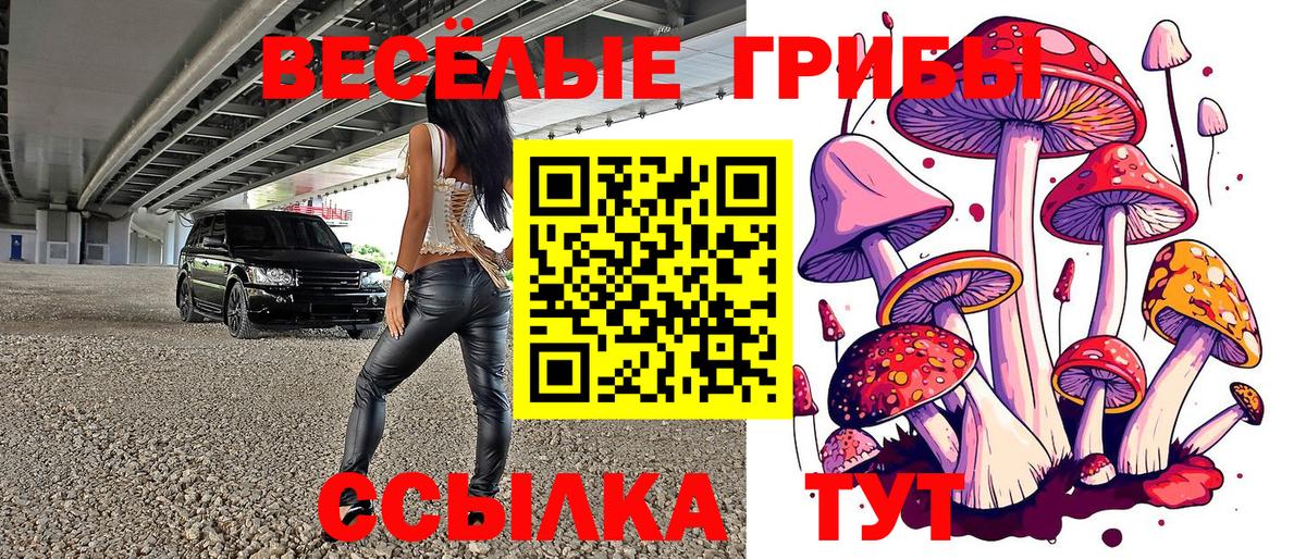 Галлюциногенные грибы мухоморы Избербаш