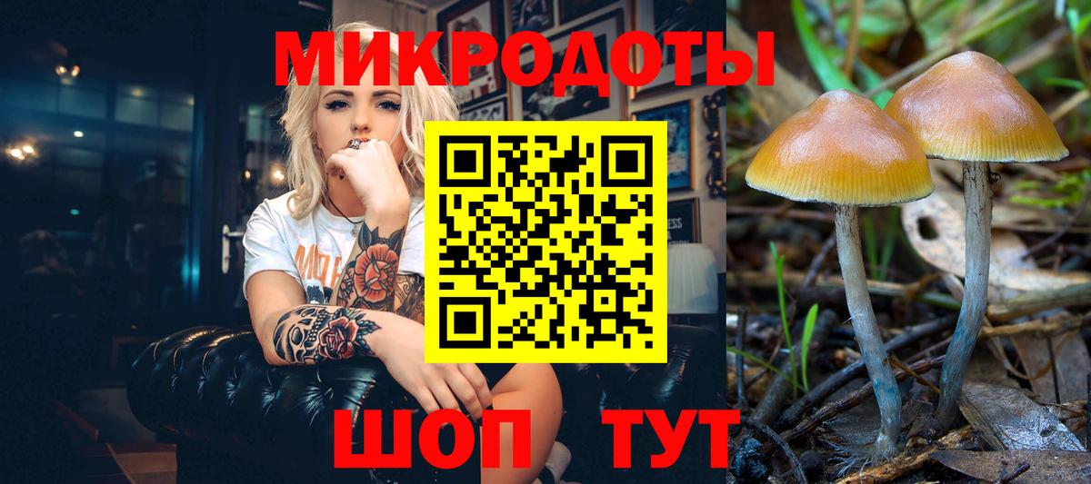 Избербаш  Галлюциногенные грибы Psilocybine cubensis  Вход с VPN 